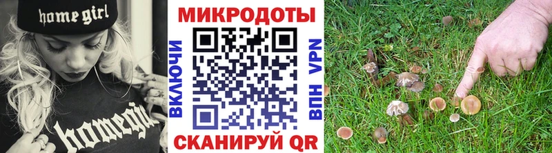 купить наркотик  Серафимович  Псилоцибиновые грибы Psilocybe 